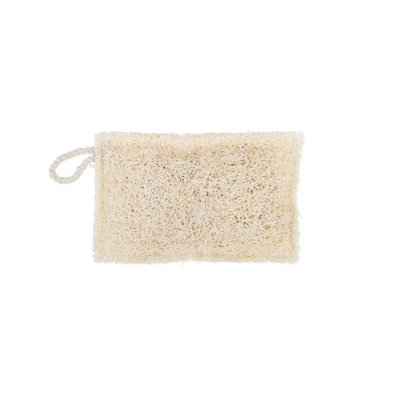 Dishwashing Sponges Loofah (Set of 10)